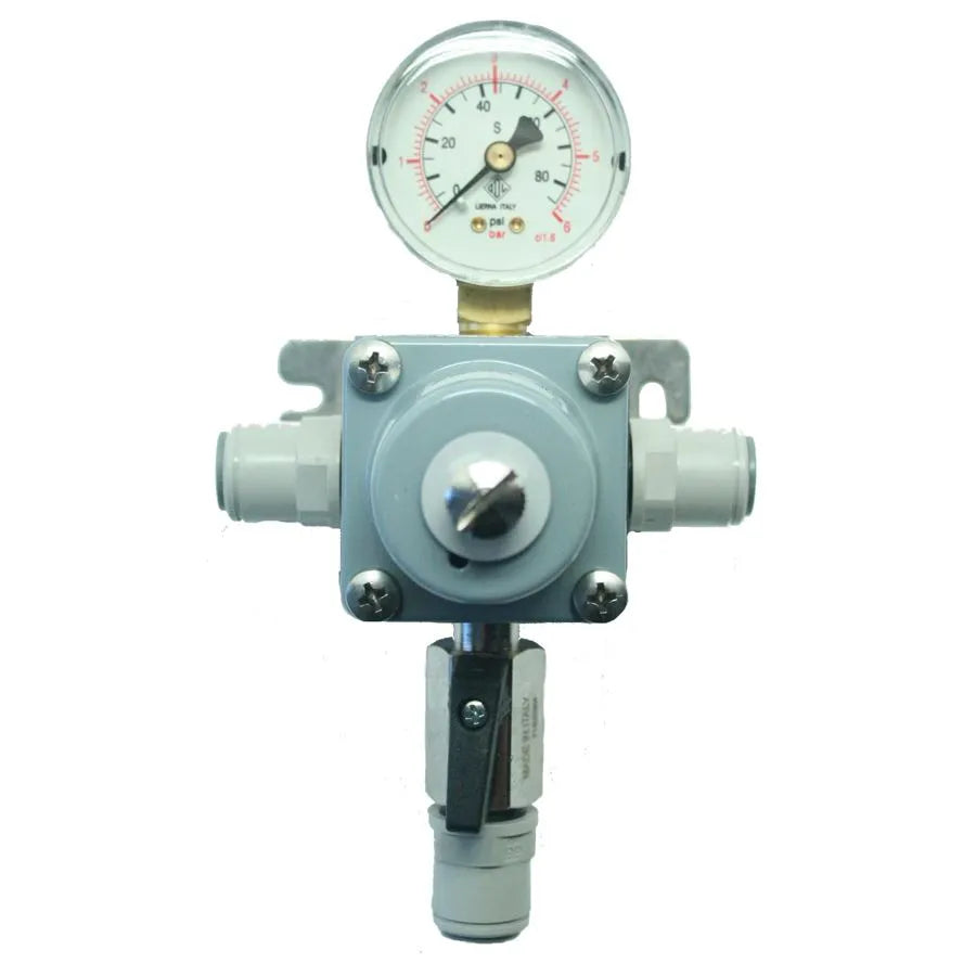SECONDARY 0-4 CO2 / MG REG C/W GAUGE