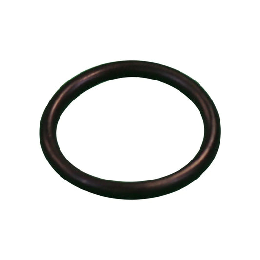 Ale Extractor Top Seal Washer
